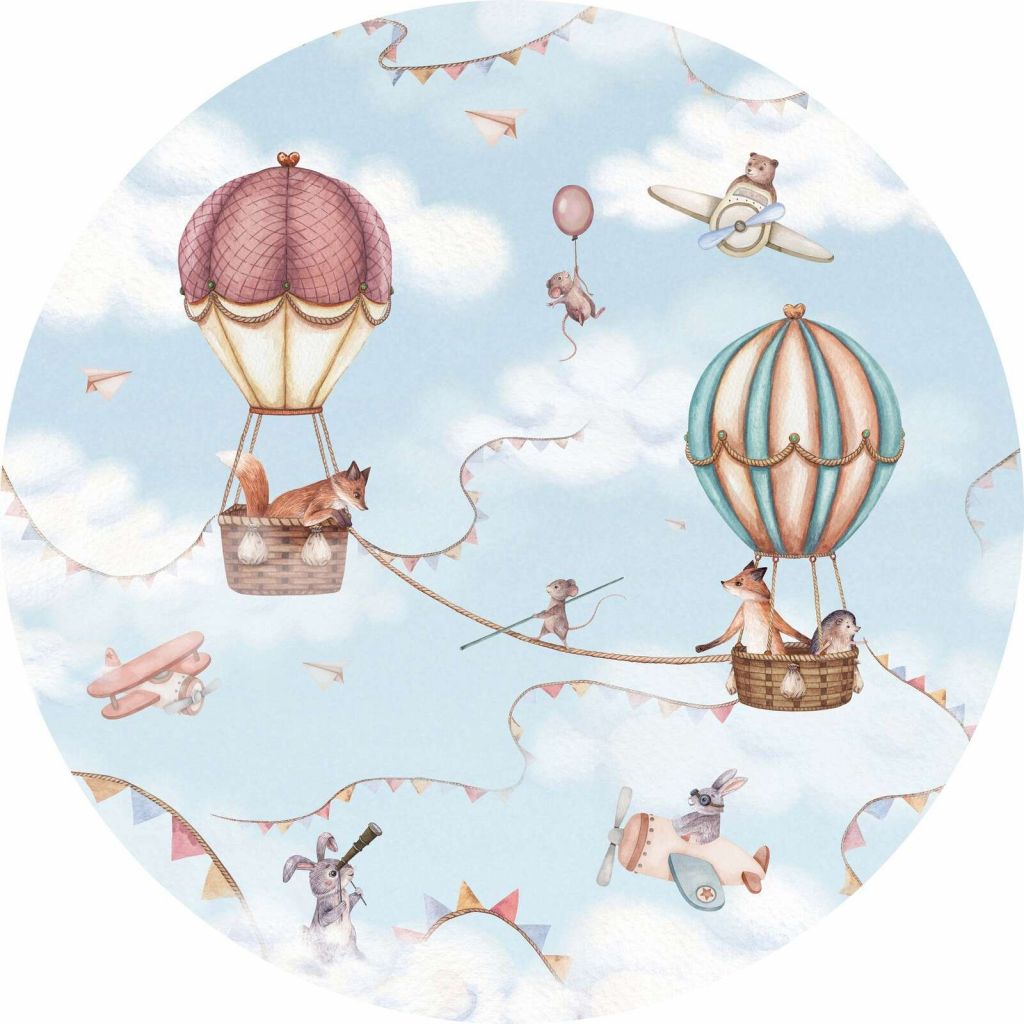 Aviation Adventure - Circle