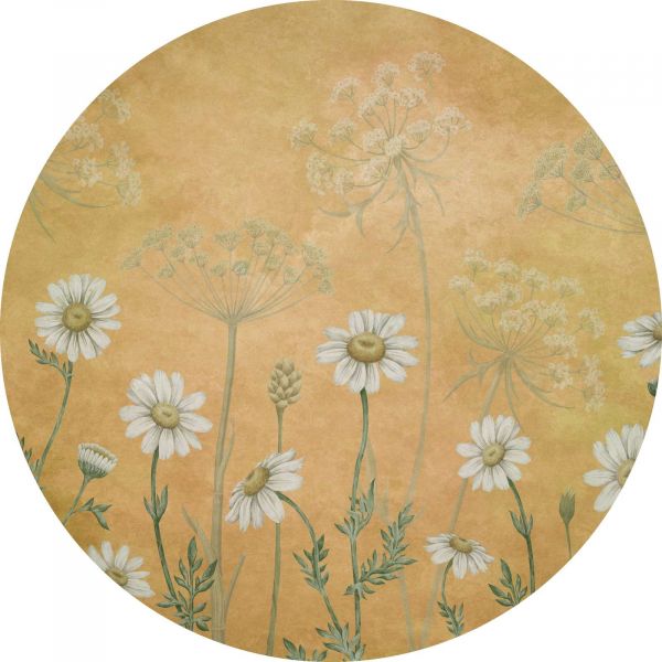 Dazzling Daisies - Yellow - Circle