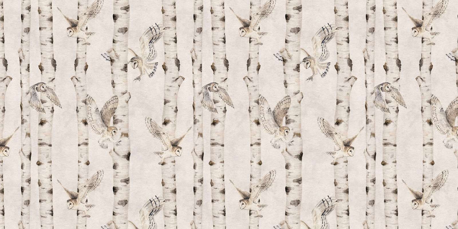 Birch and Owls - White - 120