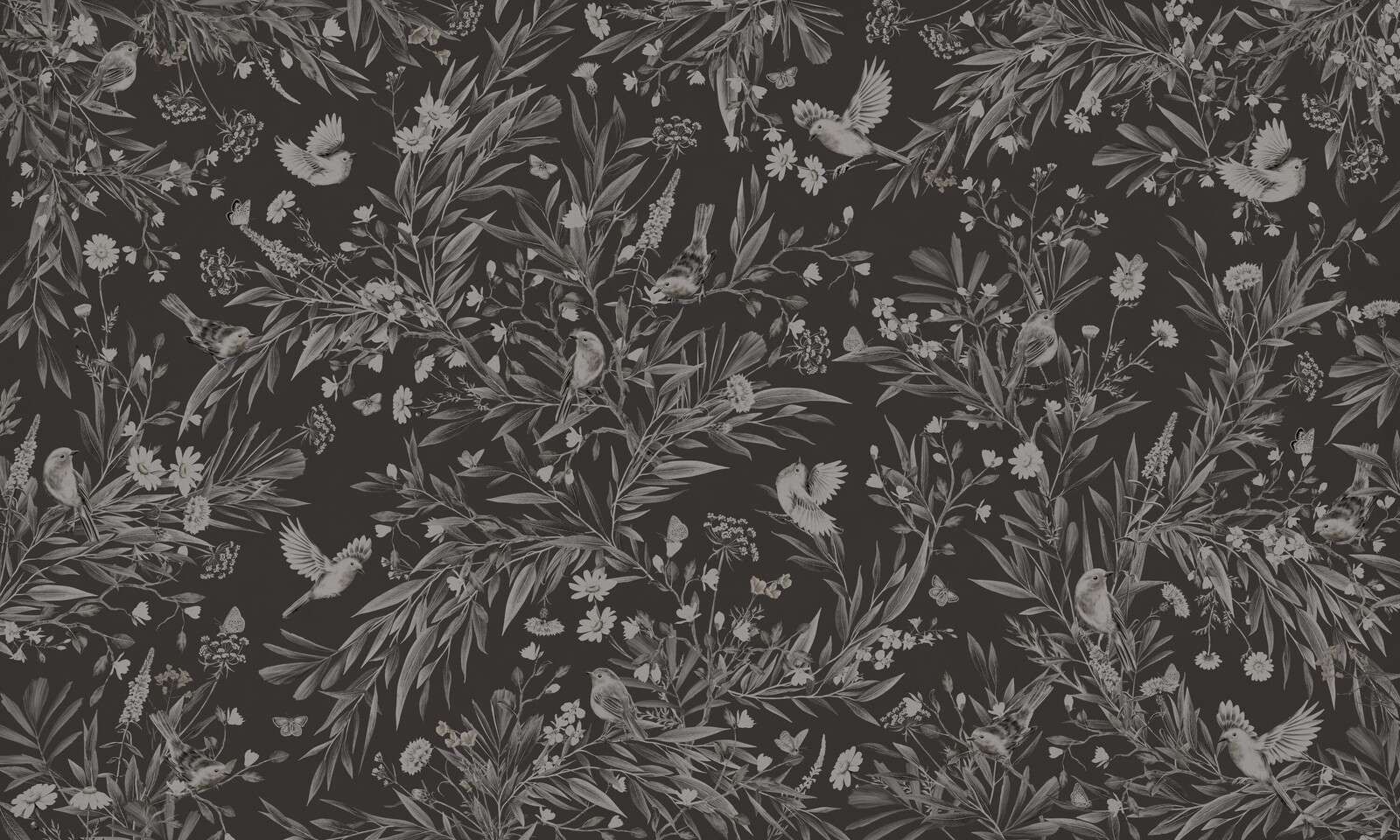 Playful Robins - Monochrome - Black