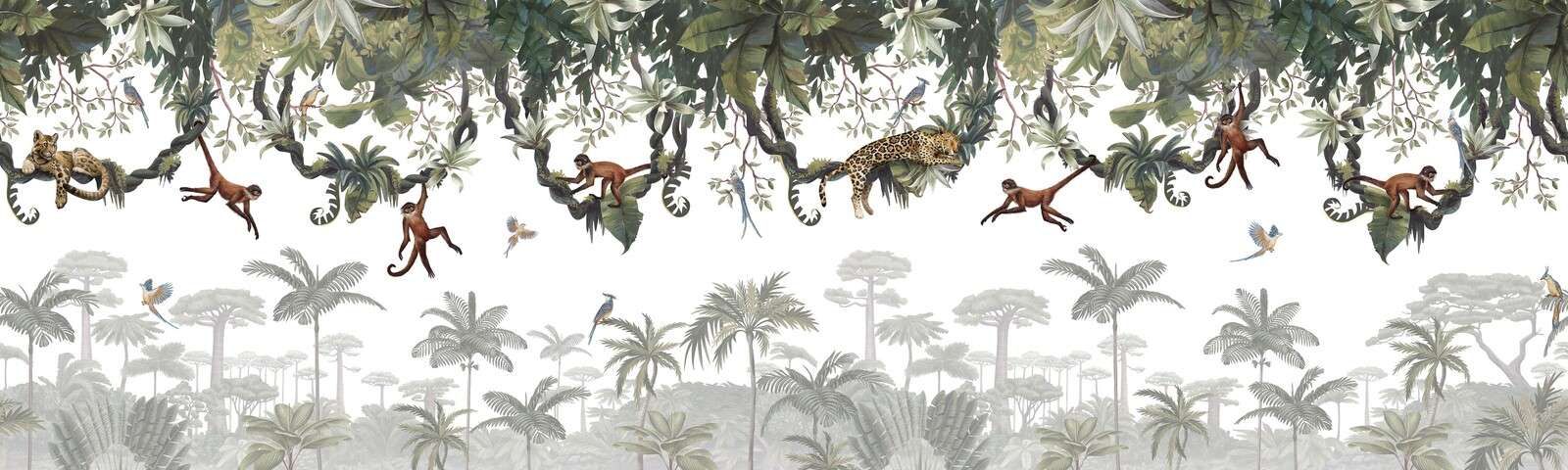 Cheeky Monkeys - Panorama