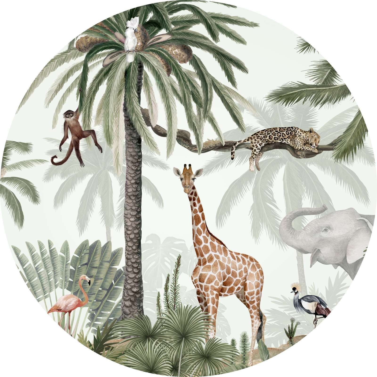 Tropical Jive - Circle Tropical Jive - Circle