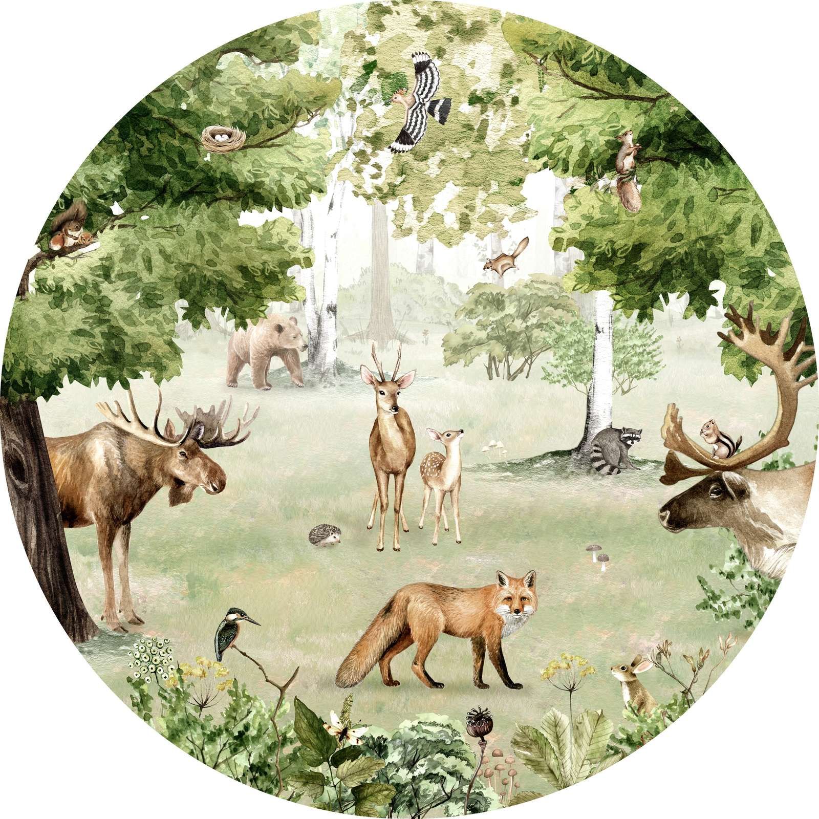 Woodland Wonders - Circle