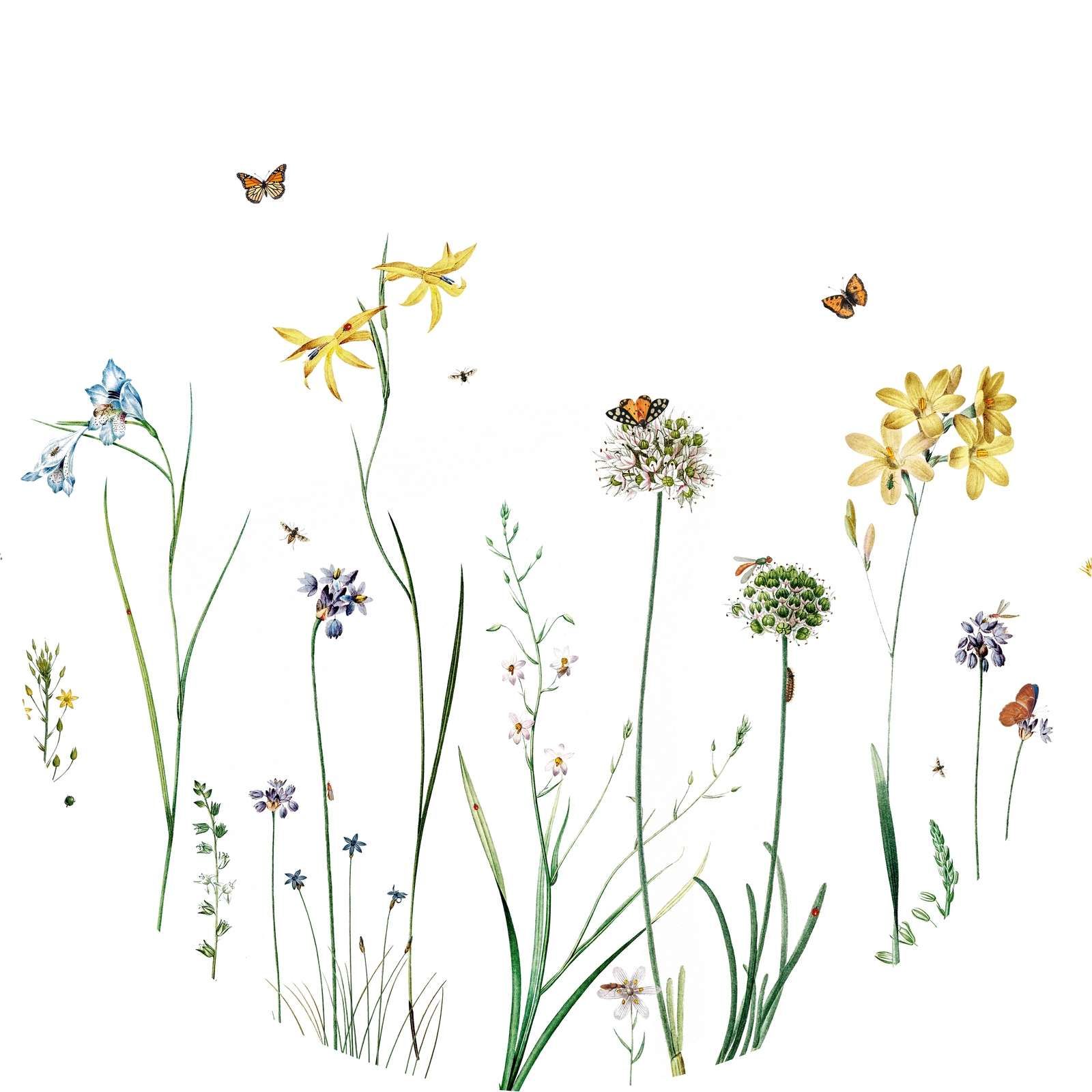 Butterfly Garden - Circle