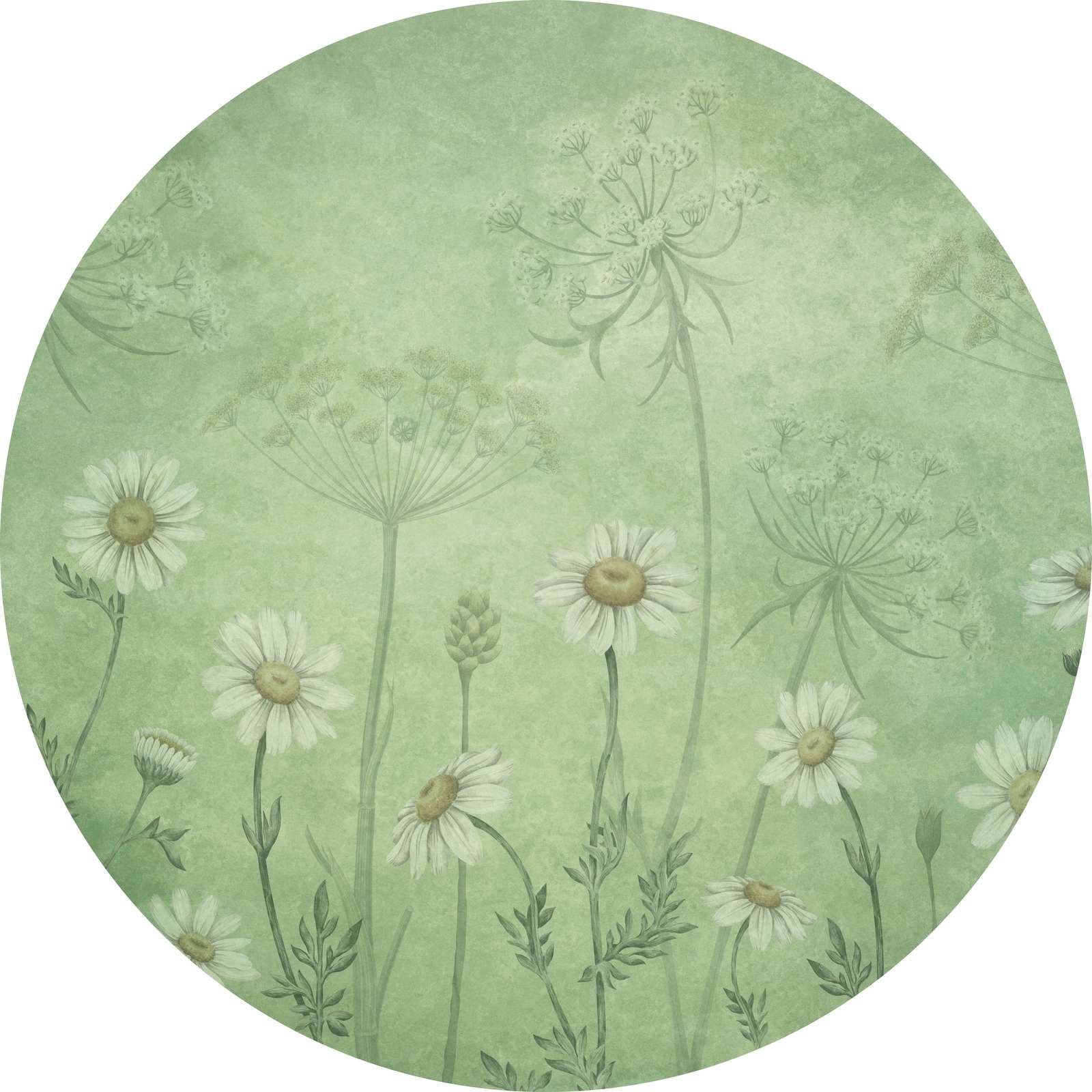 Dazzling Daisies - Green - Circle