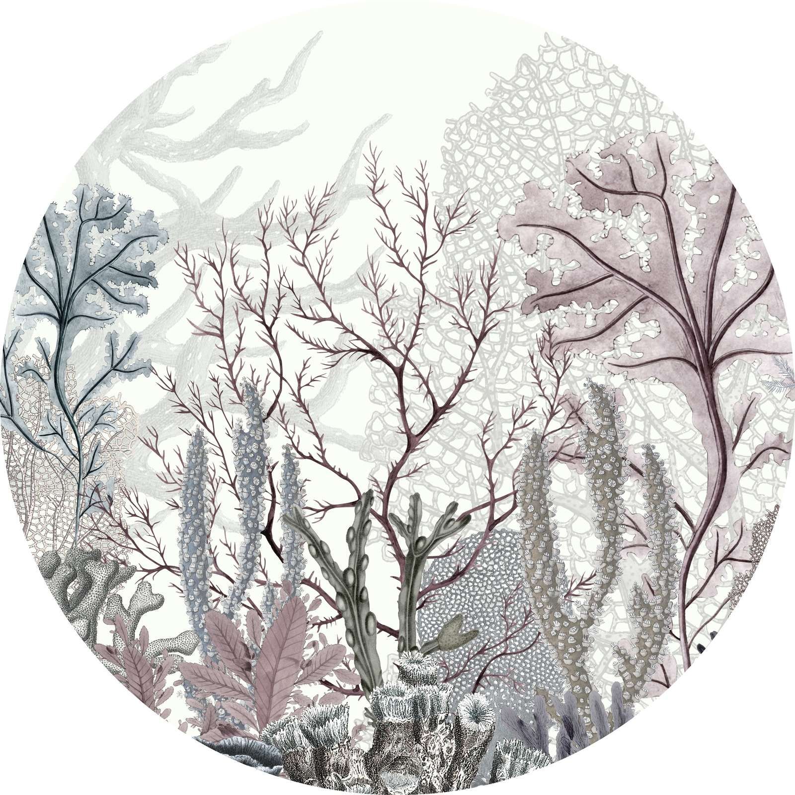 Ocean Wonders - Circle