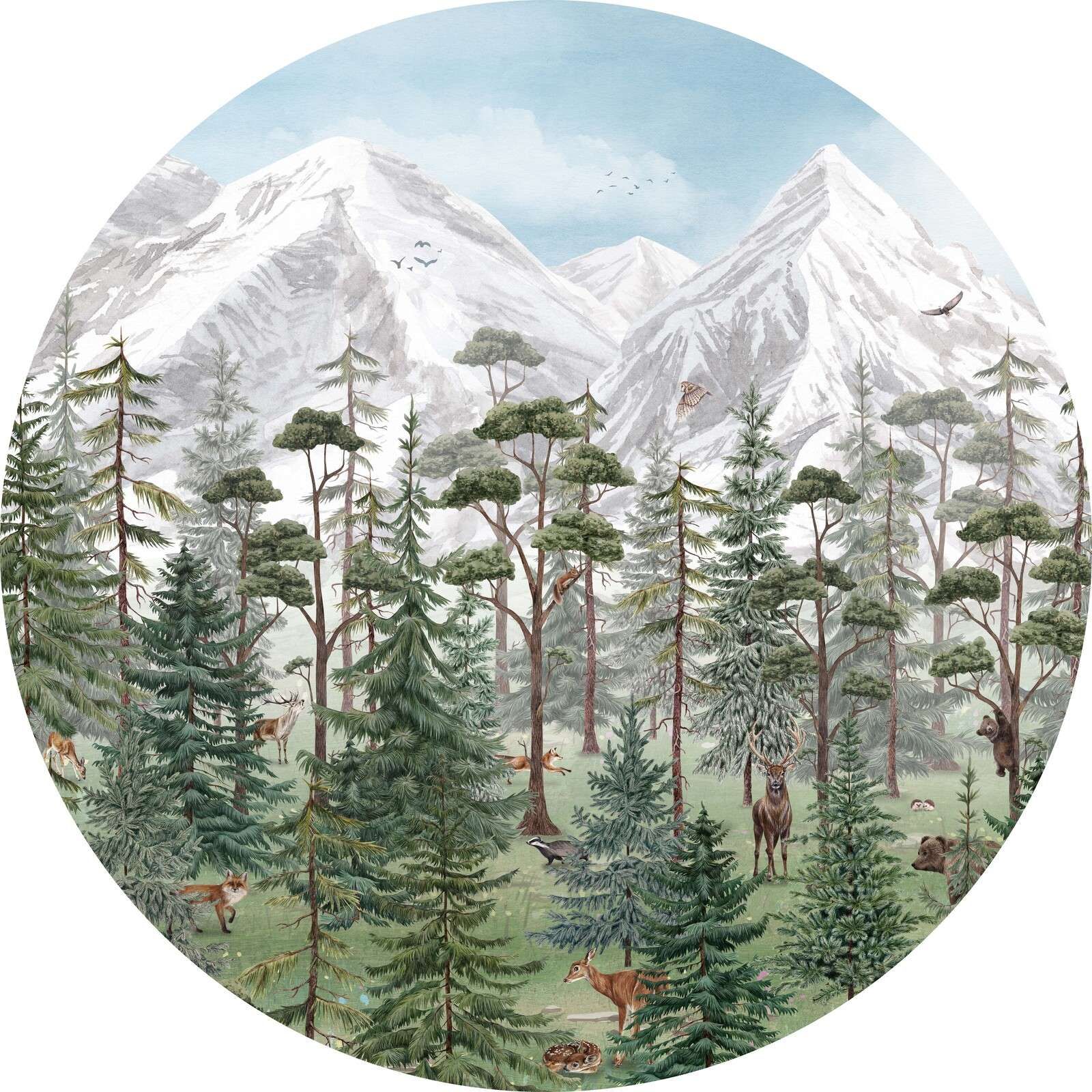 Mountain Forest - Circle