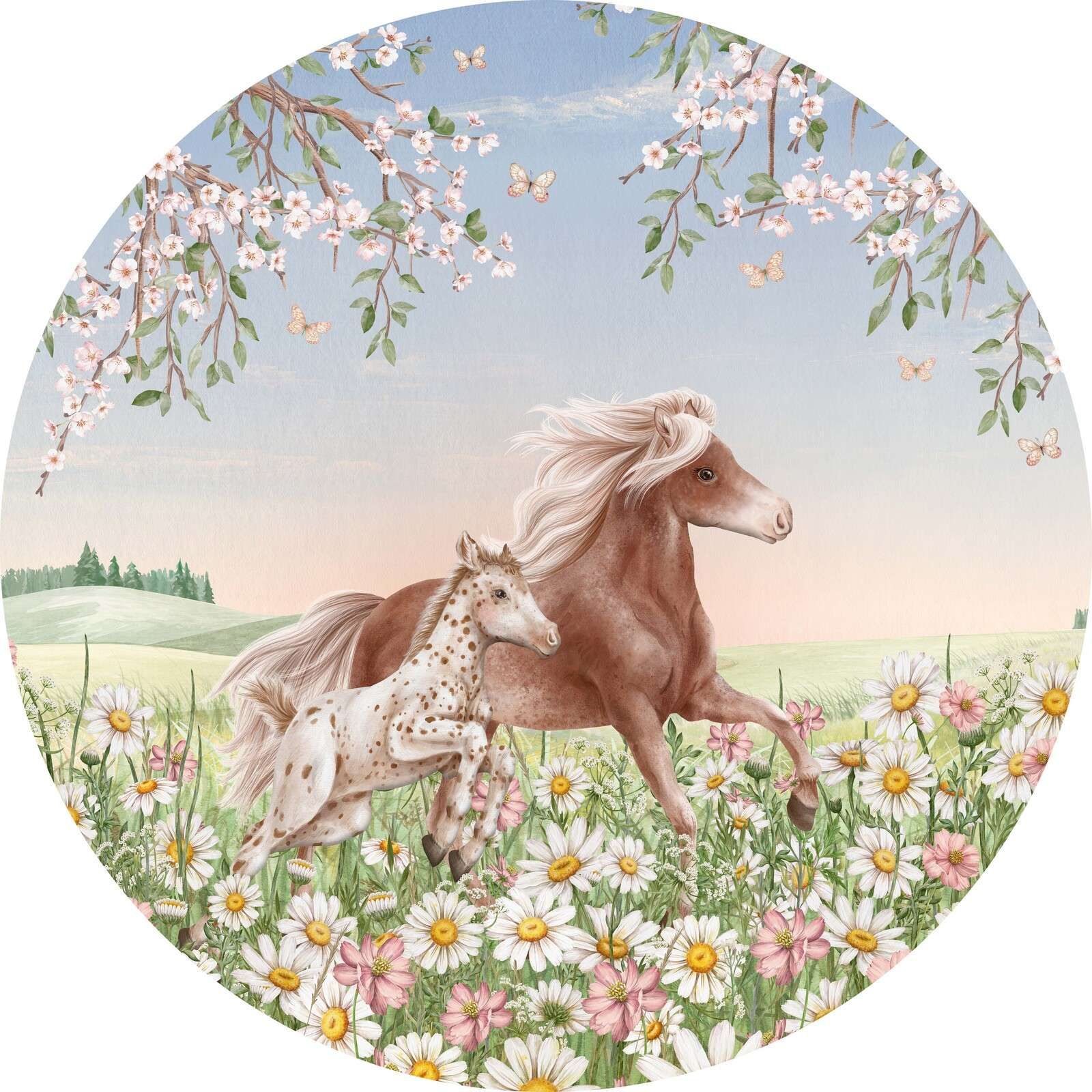 Happy Horses - Circle