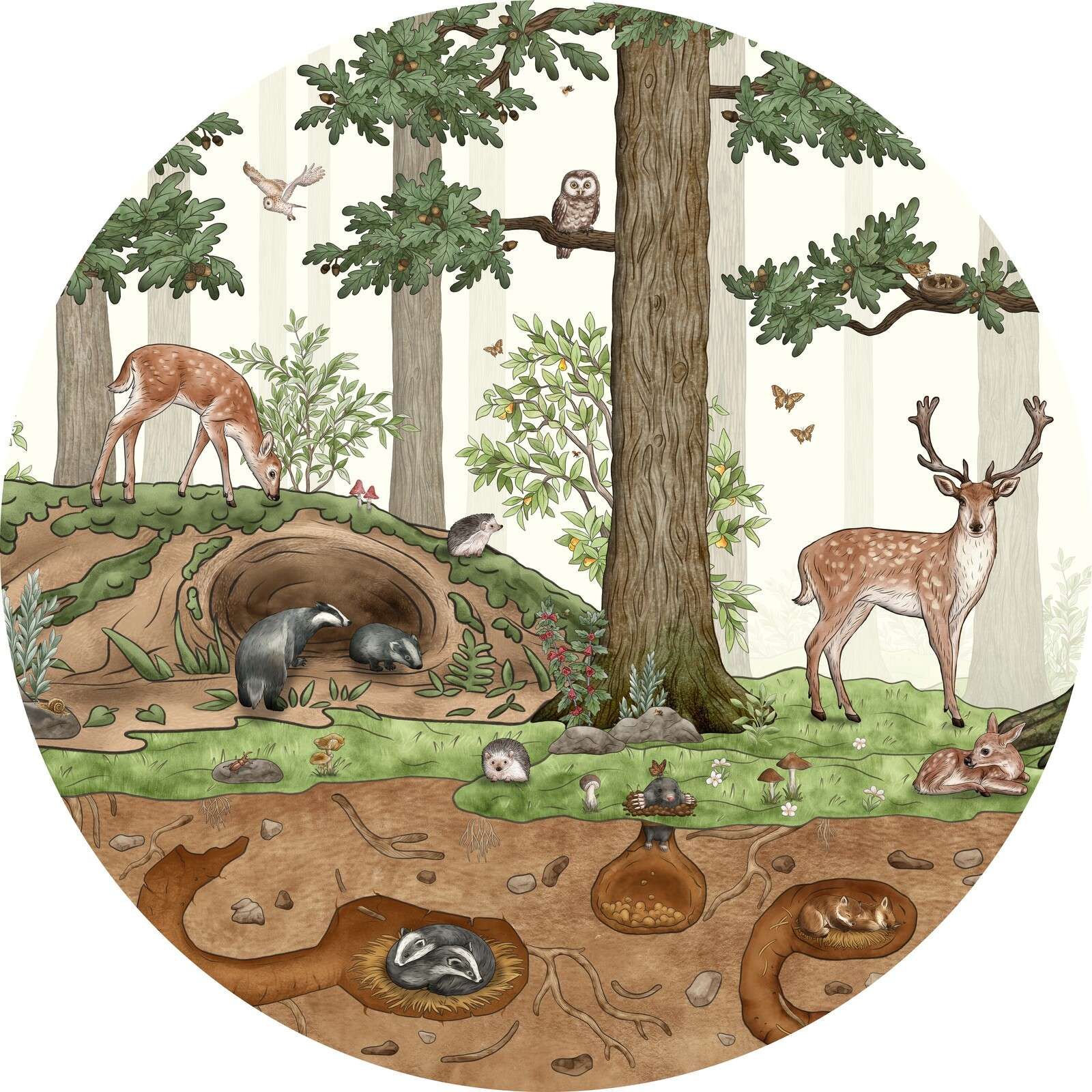 Animals in the Forest - Circle