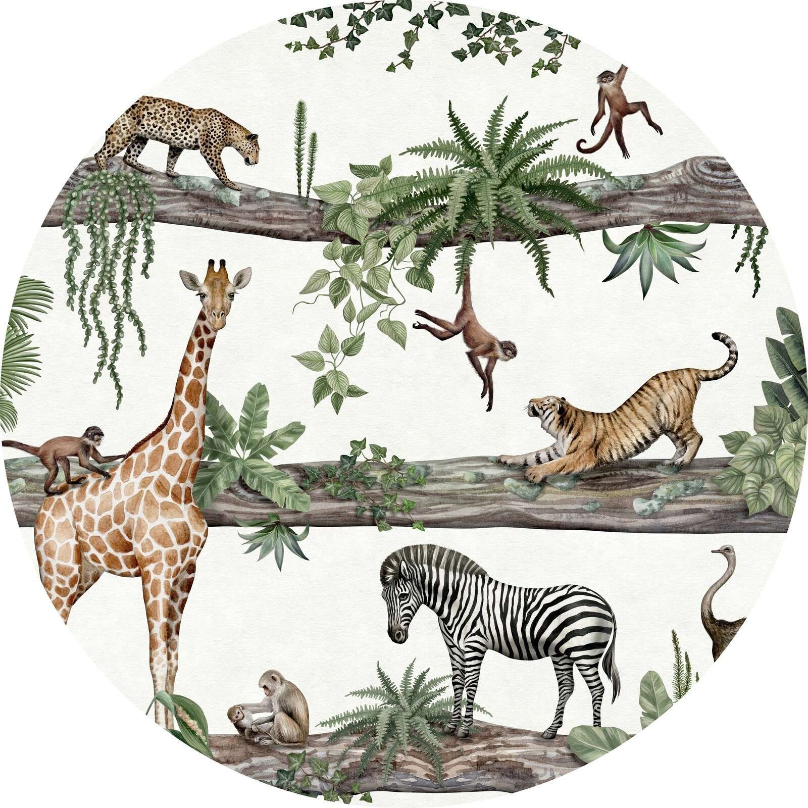 Amazing Animals - Circle